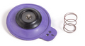 Rain Bird Diaphragm Assembly for 1 1/4 in. G & EF Series Valves