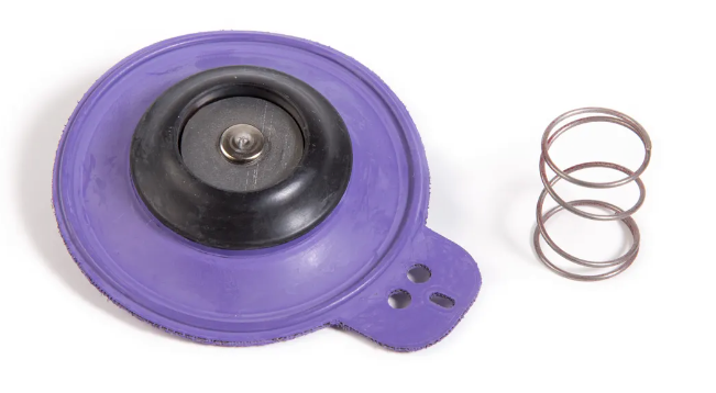 Rain Bird Diaphragm Assembly for 1 1/4 in. G & EF Series Valves