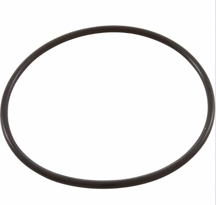 Pentair Whisperflow Inteliflo Diffuser O-Ring 071444 P24262 | O-359-9