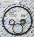SuperPro GO-KIT2V-9 Viton gasket and o-ring kit for Hayward Super II pumps