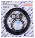 SuperPro GO-KIT5V-9 Viton gasket and o-ring kit for Pac Fab Challenger pumps