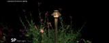 FX Luminaire SPLED20W12RCU, 12" Copper SP Path Light, 20W LED