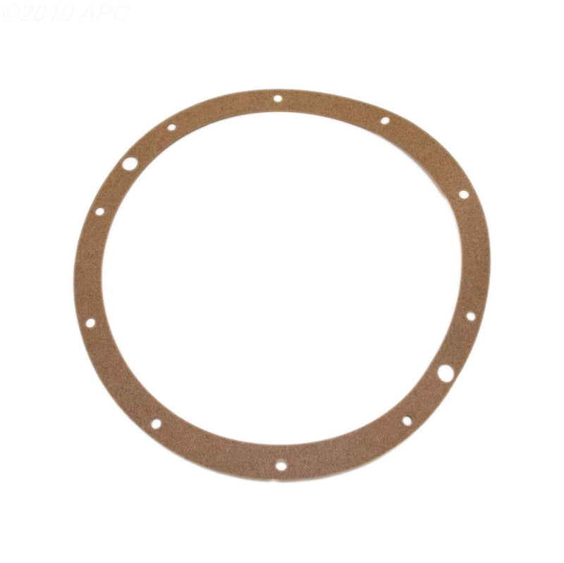 Hayward SPX0506D light gasket for the SP0607 niche