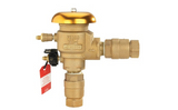 Febco 1" 765 Pressure Vacuum Breaker Backflow Preventer, Quarter Turn, Freeze Sensor