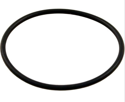 Jandy Outlet Tube O-Ring | R0442500
