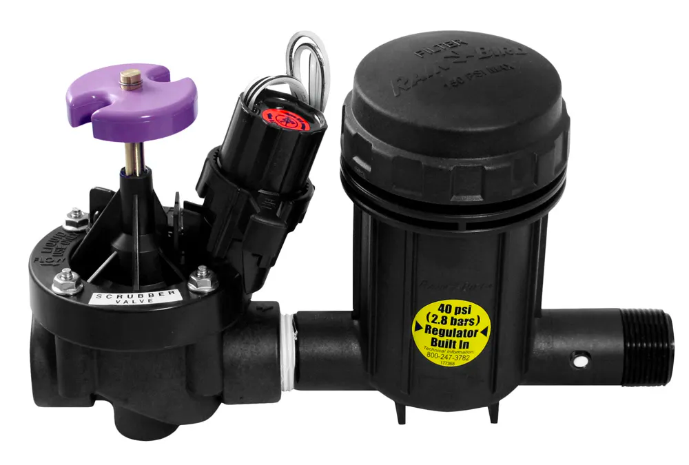 Rain Bird XCZ100PRBR - Wide Flow Commercial Control Zone Kit with 1 in. PESB-R Valve and 1 in. Pressure Regulating (40 psi) Basket Filter