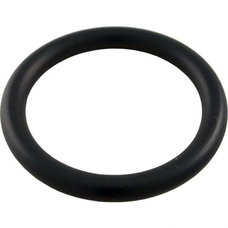 Pentair O-Ring Drain Cap Fitting | 51005000
