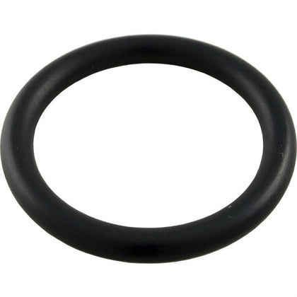 Pentair O-Ring Drain Cap Fitting | 51005000