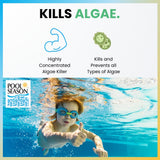 Pool Season Algae Control 60 algaecide, product feature graphic