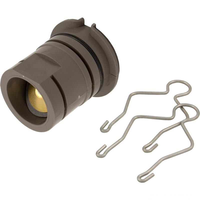 Hayward ECX4201CA Perflex EC60/65/70 inlet assembly with check valve