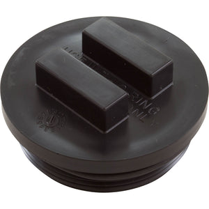 Pentair 195830 2 inch all purpose plug with o-ring for the FNS24 D.E. filter