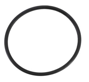 Jandy R0694100 o-ring for the Pro Series TruClear salt cell