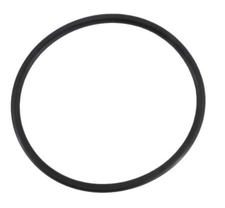 Jandy R0694100 o-ring for the Pro Series TruClear salt cell