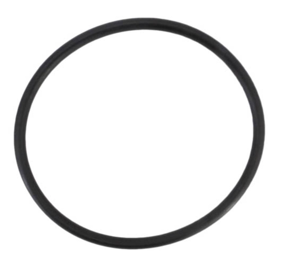Jandy R0694100 o-ring for the Pro Series TruClear salt cell