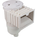 Waterway 540-6200 commercial Renegade gunite in-ground skimmer with equalizer, white
