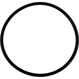 Pentair 355227Z WhisperFlo WFE diffuser o-ring