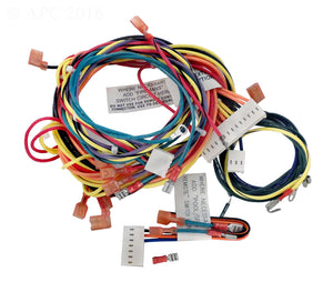 Raypak 009490F wire harness for R185B to R405B IID pool heaters