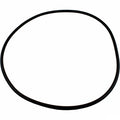 Waterway 805-0000 Crystal Water filter tank o-ring