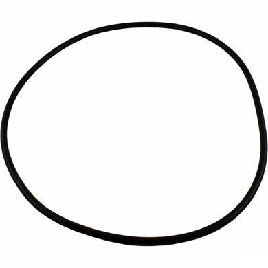 Waterway 805-0000 Crystal Water filter tank o-ring