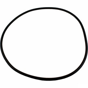 Waterway 805-0000 Crystal Water filter tank o-ring