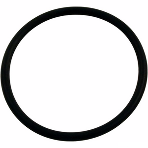Hayward SPX1022CZ2 o-ring for the SP1022C plug