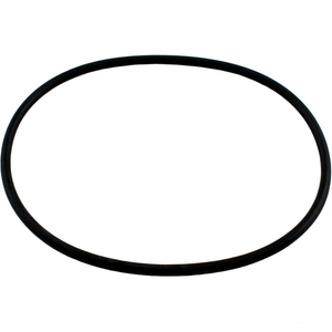 Hayward AXW542 leaf canister o-ring for W530 and W560 series