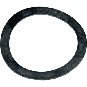 Pentair 154538 genuine OEM 2 inch bulkhead gasket for Triton II sand filters