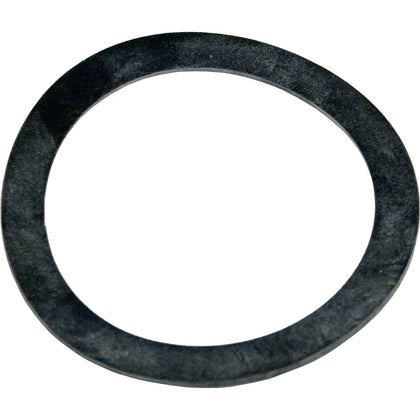 Pentair 154538 genuine OEM 2 inch bulkhead gasket for Triton II sand filters