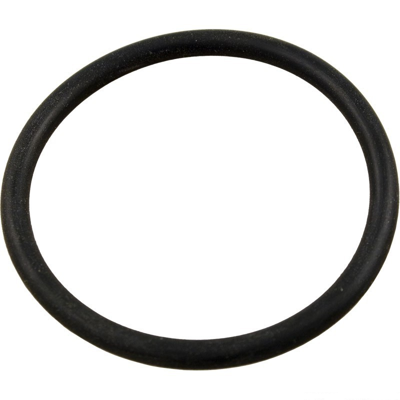 Hayward SX220Z2 2-1/2 in. bulkhead and diffuser o-ring