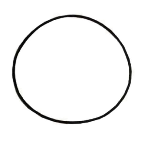 Davey M1217 Eco-Matic o-ring for ESC and ESR series cell head