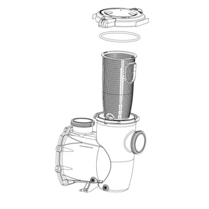 Pentair 356174Z strainer pot kit for IntelliFlo3 VSF 1.5 HP pump