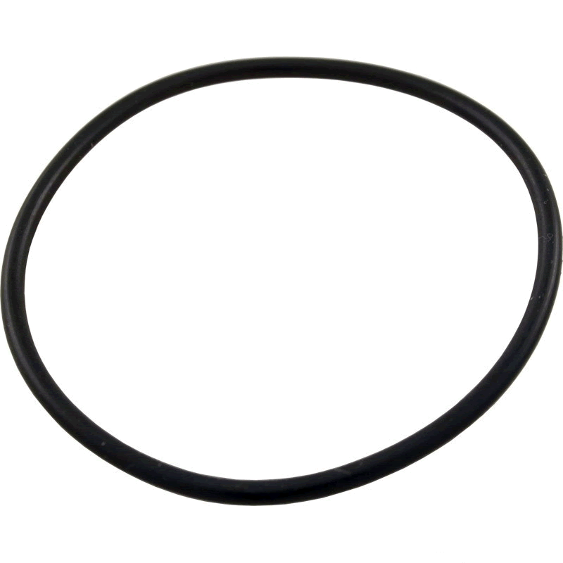 Pentair 59000600 FNS Plus stand pipe o-ring, size 2-137