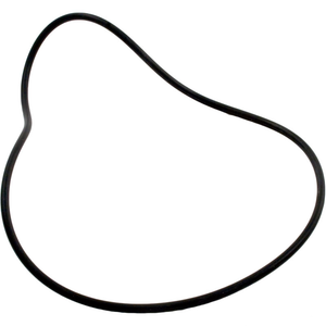 Pentair 71427 H-Series valve body o-ring