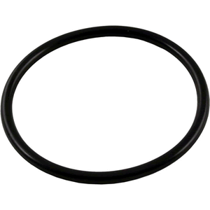 Waterway 805-0339 bulkhead coupler o-ring for Crystal Water filters