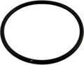 Pentair R172009 Viton lid o-ring, 3-3/4 in. ID, for Rainbow chlorinators