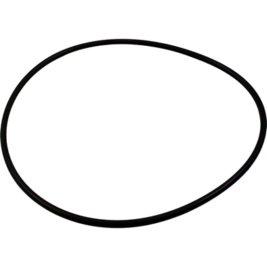 Sta-Rite U9-228A seal plate o-ring for Pinnacle pumps