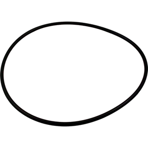 Sta-Rite U9-228A seal plate o-ring for Pinnacle pumps