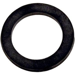 Pentair 074629 flat washer gasket for a pool pump drain plug