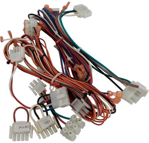 Hayward FDXLWHA1930 complete wiring harness, FD