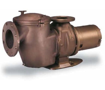 Pentair 011659 C-Series CHK-100 10 HP bronze commercial pool pump with strainer