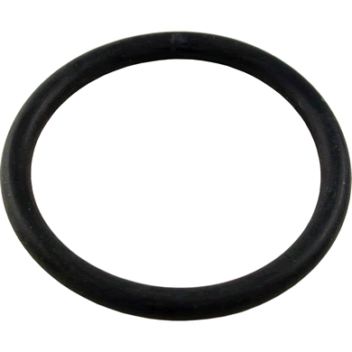 Pentair 86006900 bulkhead o-ring, upper and lower