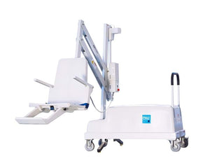 S.R. Smith PAL2 202-0000 portable pool lift in Gray Mist