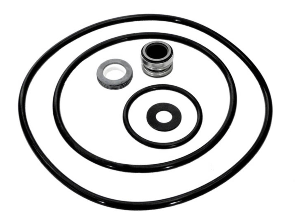 Pentair PP3000 Parts-Paks seal and gasket kit for MPRA and MPEA pumps