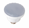 J&J Electronics ColorSplash LXG-W LPL-S3-RGBW-120 color changing LED spa lamp, part 26912