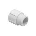 Lasco 436-213 1-1/2 by 2 inch PVC reducer male adapter, MPT x slip