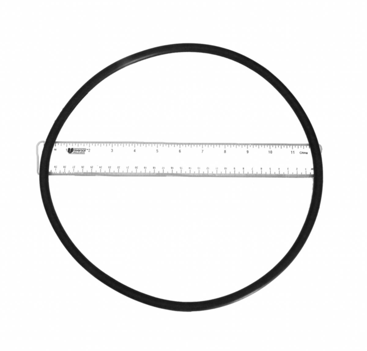 Pentair 356780Z EQ Series seal plate O-ring
