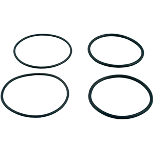 Raypak 006724F genuine OEM o-ring connector kit with two o-rings