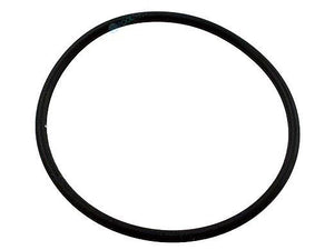 Pentair 355331Z Waterfall and Challenger pump diffuser o-ring