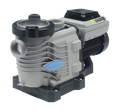 Blue Torrent BTIGV200 2.0 HP variable speed inground pool pump