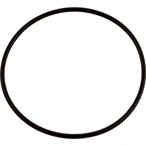 Jandy R0374500 o-ring kit for the Jandy Energy Filter